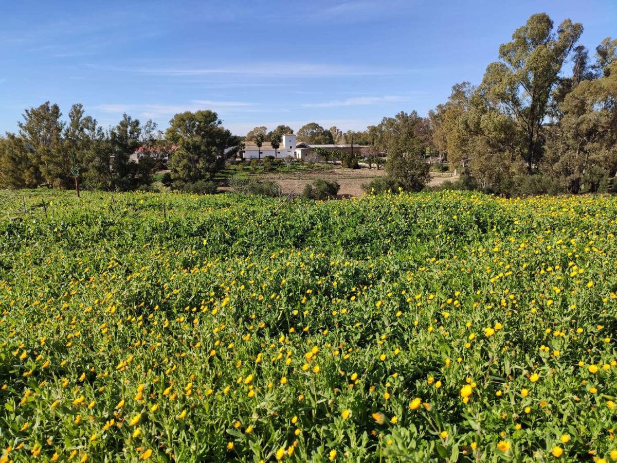 Rosas De Santa Ana Bed and breakfast *